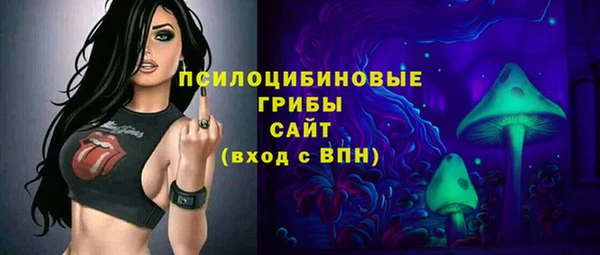Альфа ПВП Володарск