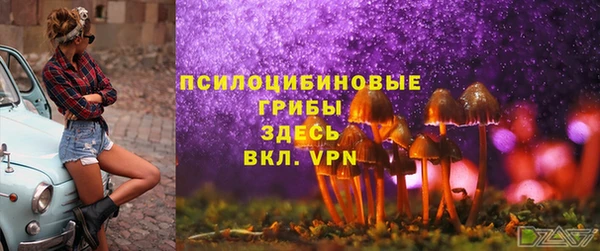 Альфа ПВП Володарск