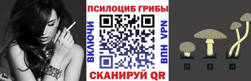 маркетплейс какой сайт  магазин  наркотиков  Мончегорск  Псилоцибиновые грибы мухоморы 