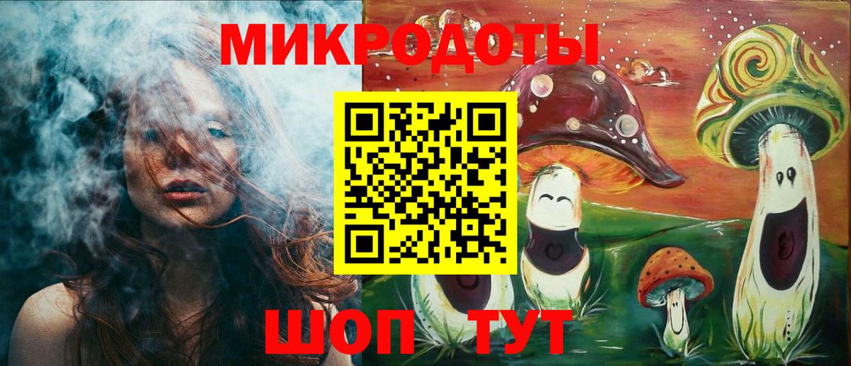 Псилоцибиновые грибы Psilocybe Мончегорск